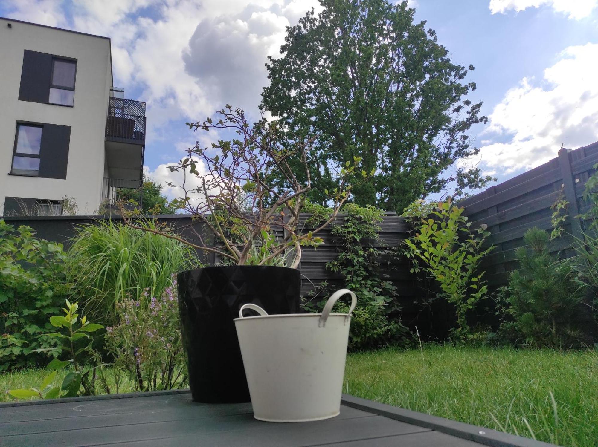 Garden Apartment Self Check-In - Bezkluczowy Dostep W 10 Minut O Kazdej Porze Krakow Ngoại thất bức ảnh